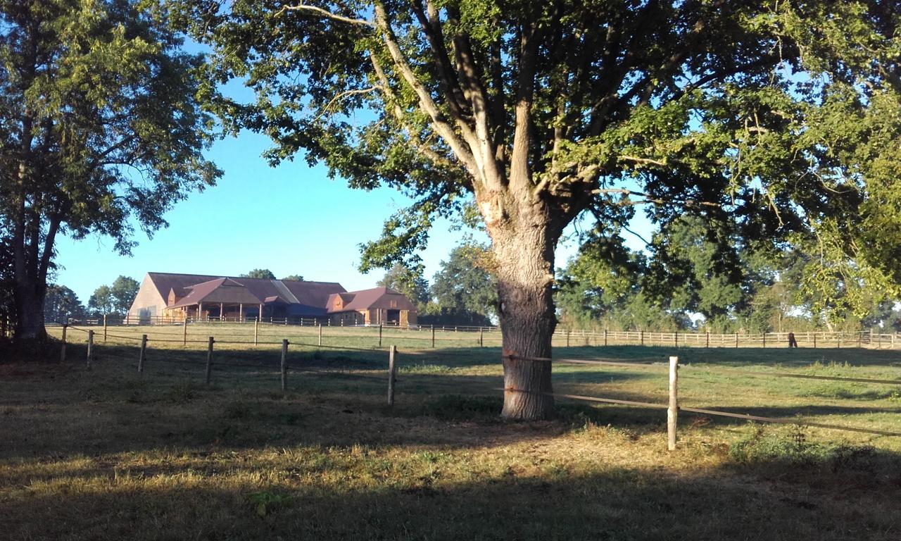 Les Gites Haras Del Paradiso Boitron Exterior photo